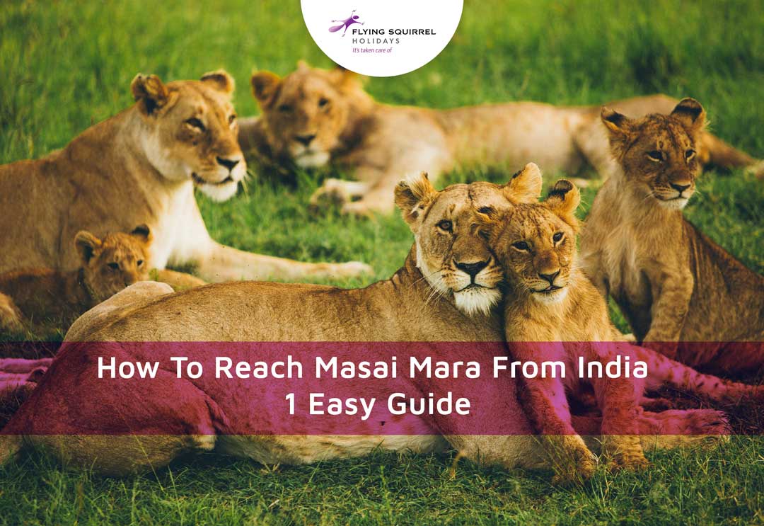 Comment atteindre le Masai Mara depuis l’Inde – 1 guide facile
