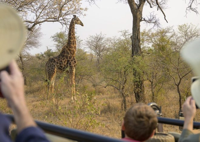 These 15 guided tour companies are the best in the business for 2025