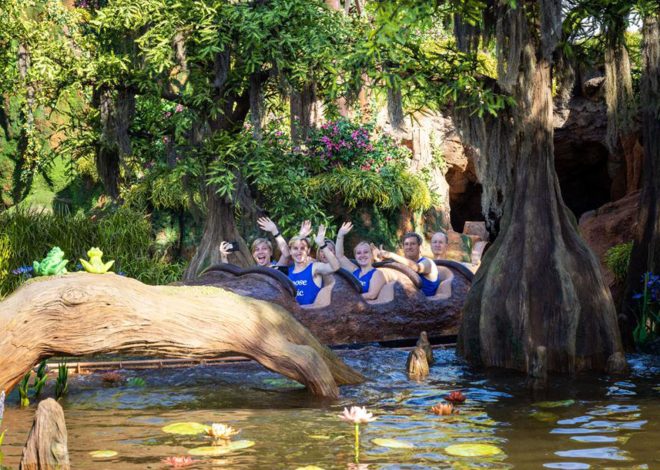 4 reasons why Disney World is one of my favorite multi -generational travel destinations