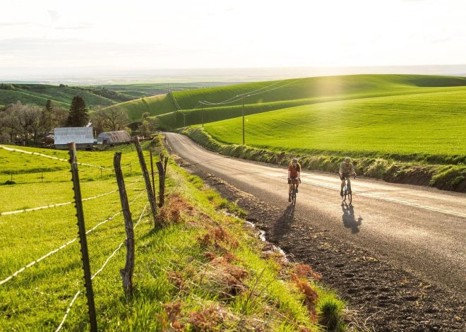 Why I fell in love with Walla Walla