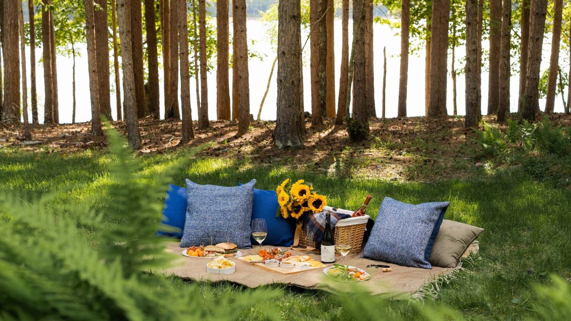 The secret of a picnic in summer? Let a hotel prevail for you