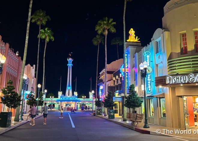 What is Disney after hours and who benefits Walt Disney World the most?