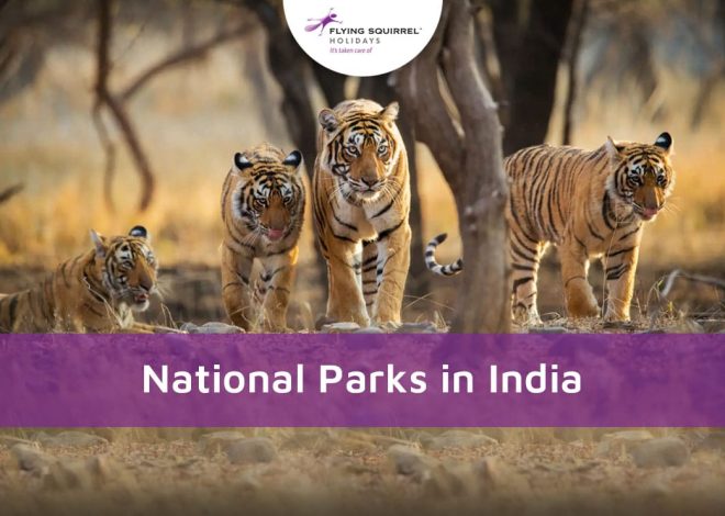 National Parks In India: A Comprehensive Guide