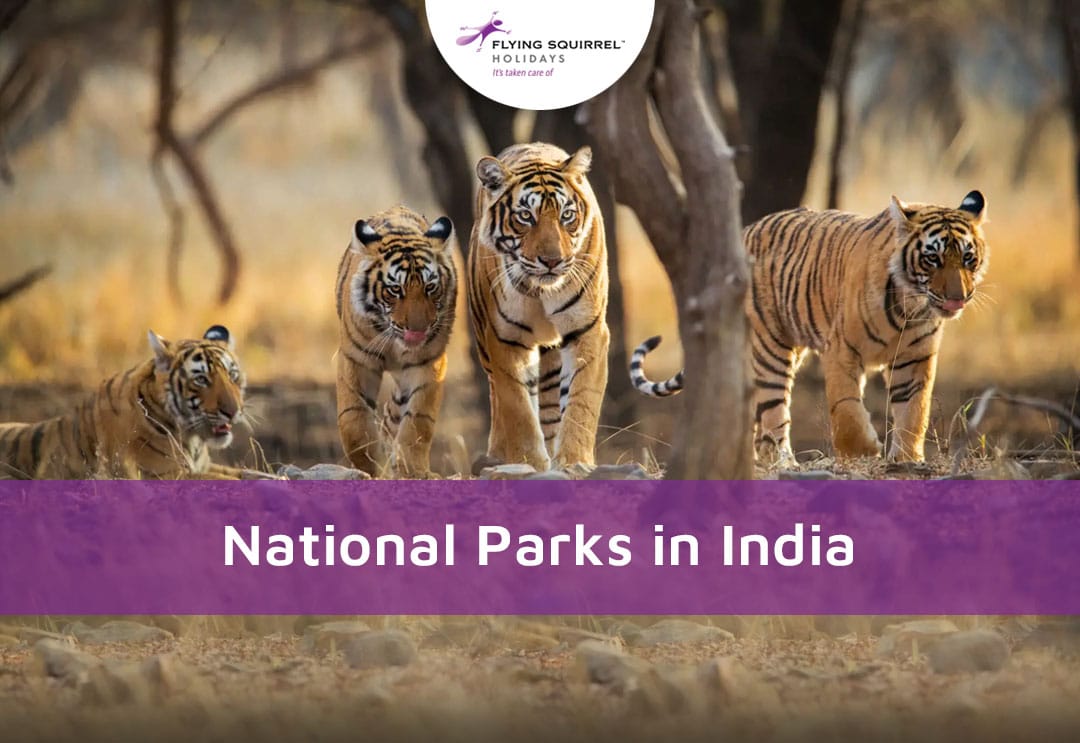National Parks In India: A Comprehensive Guide