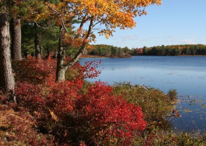 Crisp air, cozy nights: This year’s best fall foliage getaways in New England