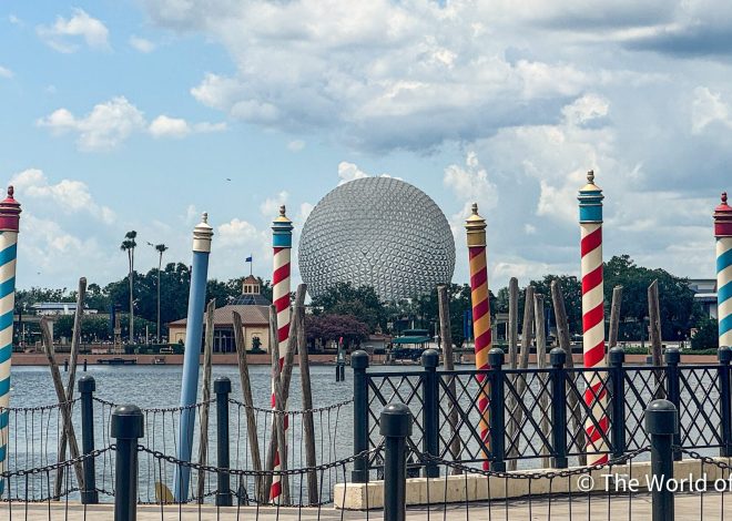 Walt Disney World in January