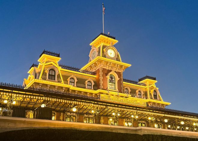 9 Disney World Park Bag Essentials for Summer 2026
